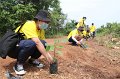 20210526-Tree planting dayt-032